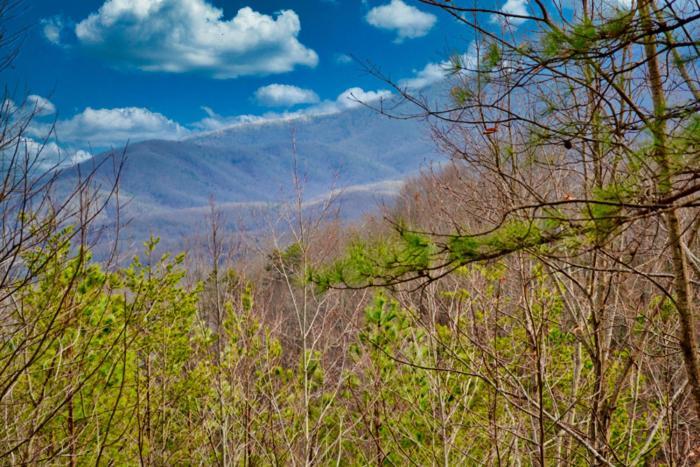 Mountain Love Nest Gatlinburg Exterior photo